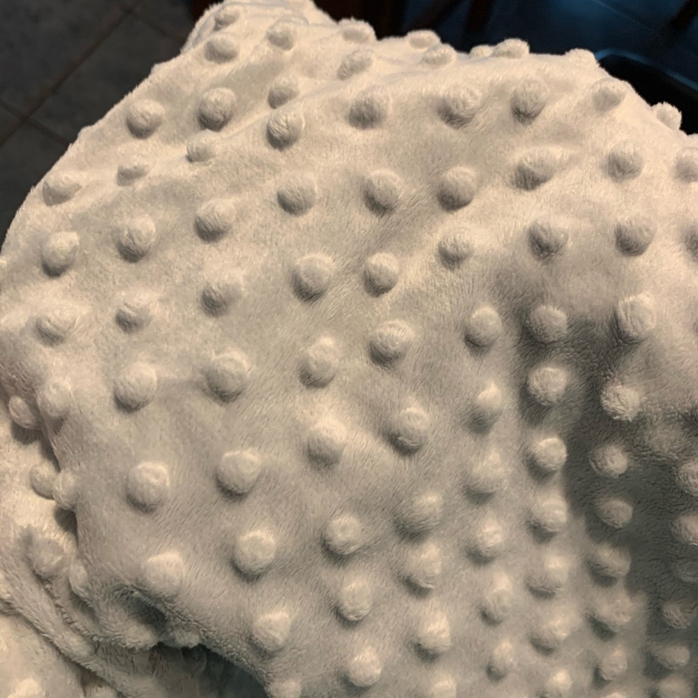 Minky Car Seat Cover